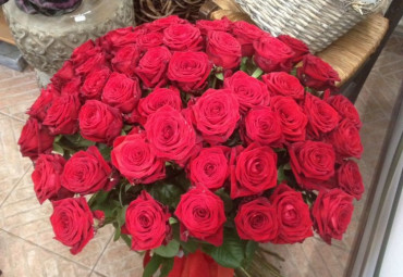 	  100 rose rosse gambo medio