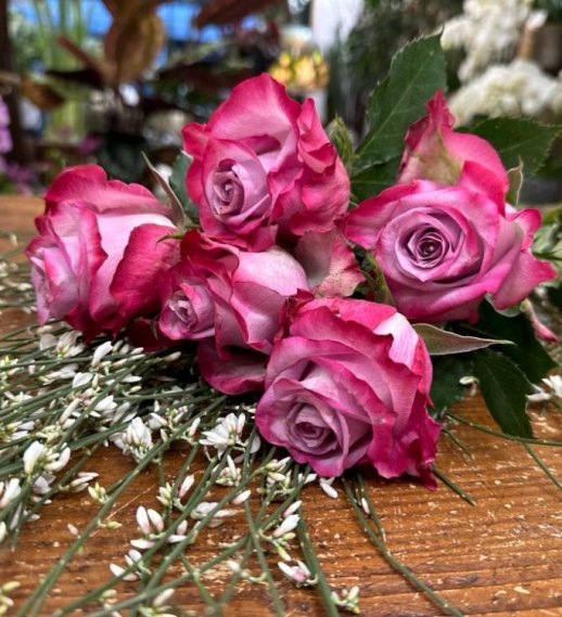 Rose colore lilla