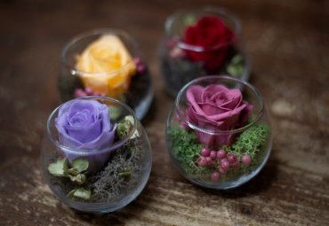 Rosa stabilizzata in mini boule