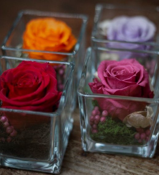 Rosa stabilizzata in cubo di vetro