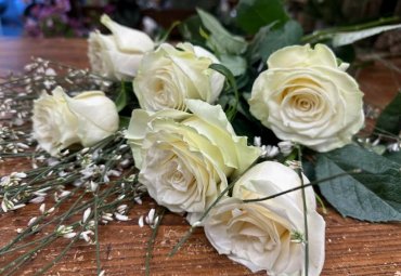 Rose bianche