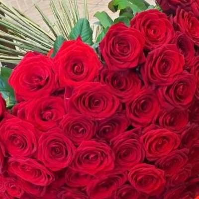 50 rose rosse gambo medio