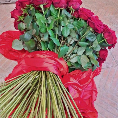 100 rose rosse gambo lungo