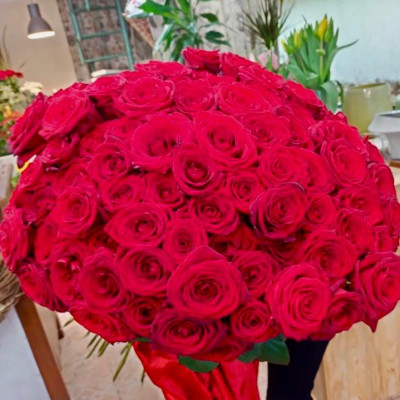 100 rose rosse gambo lungo